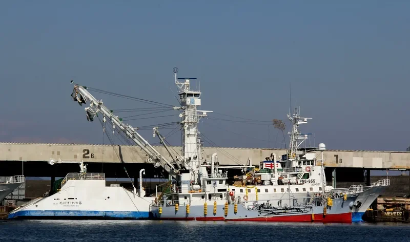 WAKABA MARU NO.6 General Cargo IMO 9062635
