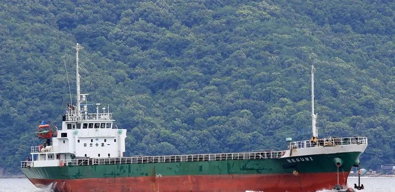 PACIFIC LEADER General Cargo IMO 9062843 photo 2