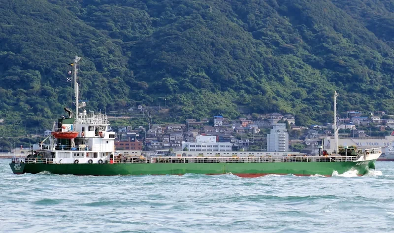 PACIFIC LEADER General Cargo IMO 9062843 photo 3