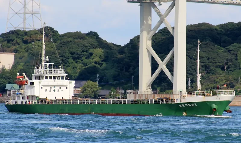 PACIFIC LEADER General Cargo IMO 9062843 photo 6