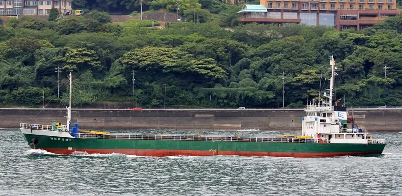 PACIFIC LEADER General Cargo IMO 9062843 photo 7