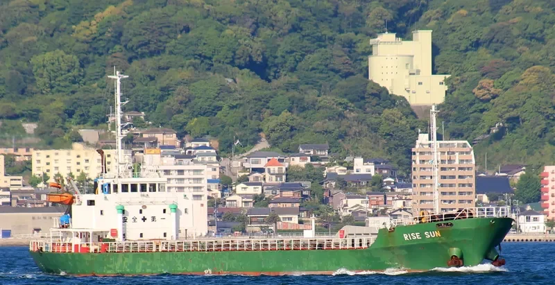 RISE SUN General Cargo IMO 9062879 photo 7
