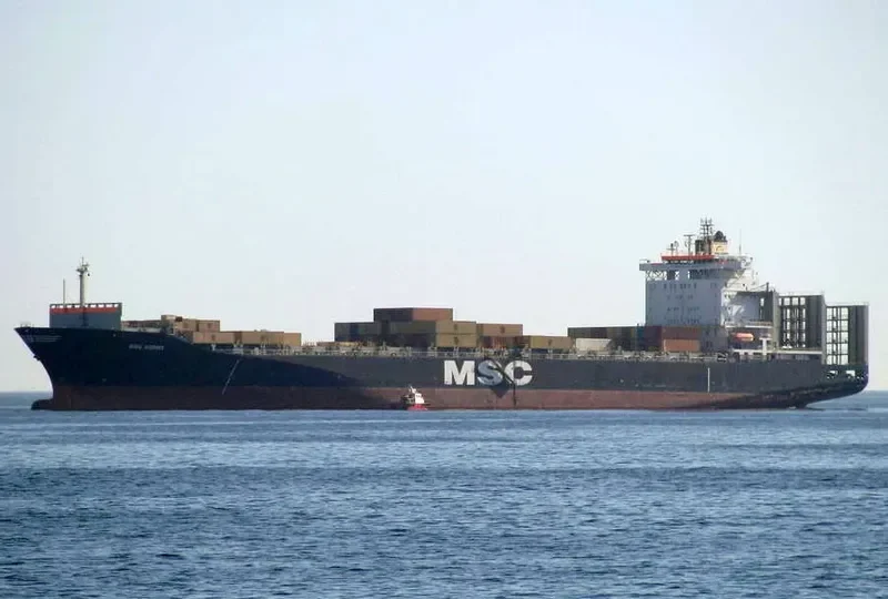MSC KERRY Container Ship IMO 9062960 photo 2