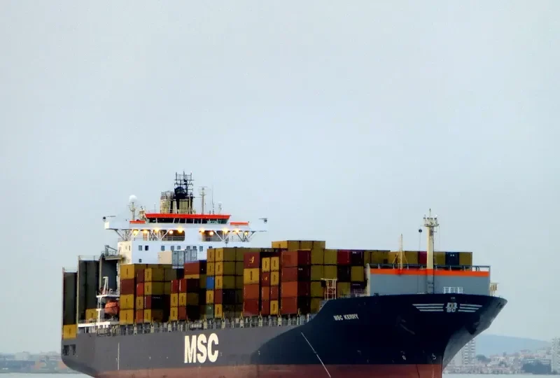 MSC KERRY Container Ship IMO 9062960 photo 6