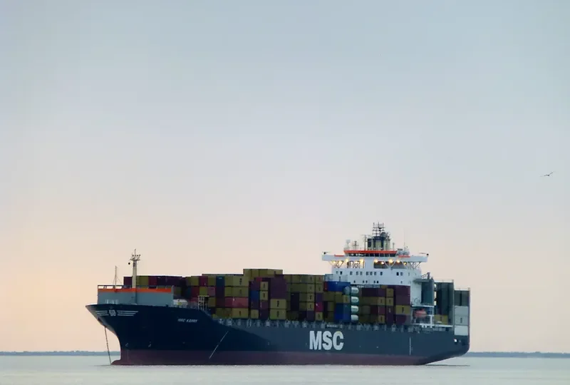 MSC KERRY Container Ship IMO 9062960 photo 7