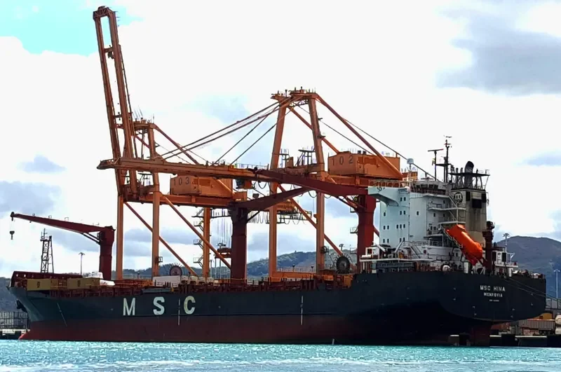 MSC HINA Container Ship IMO 9062984