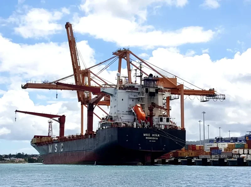MSC HINA Container Ship IMO 9062984 photo 2