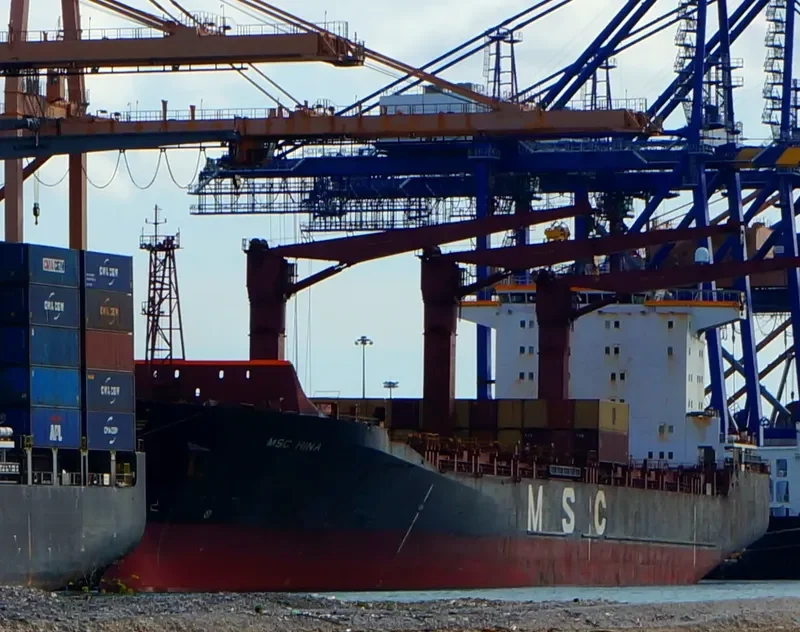MSC HINA Container Ship IMO 9062984 photo 3