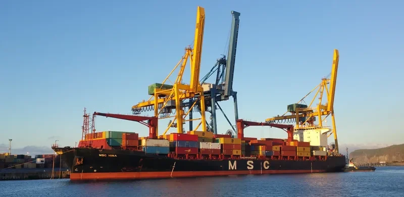 MSC HINA Container Ship IMO 9062984 photo 4