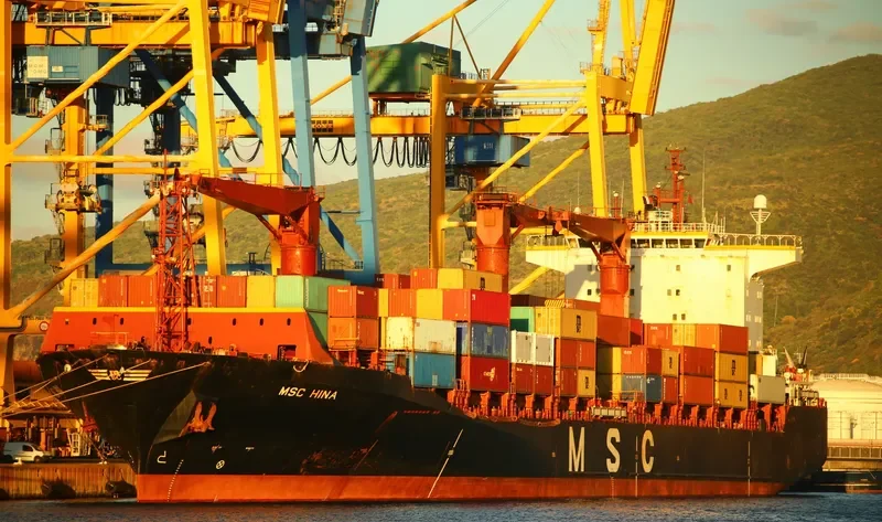 MSC HINA Container Ship IMO 9062984 photo 6