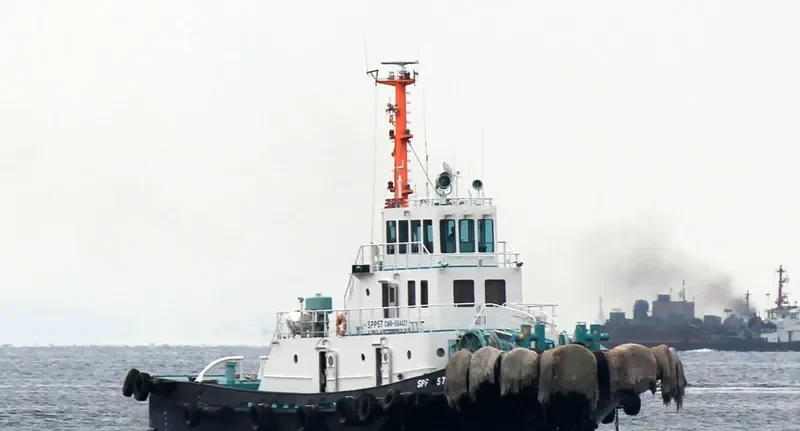 101YUJIN General Cargo IMO 9063445 photo 5