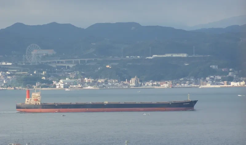 AWOBASAN Bulk Carrier IMO 9063469 photo 2