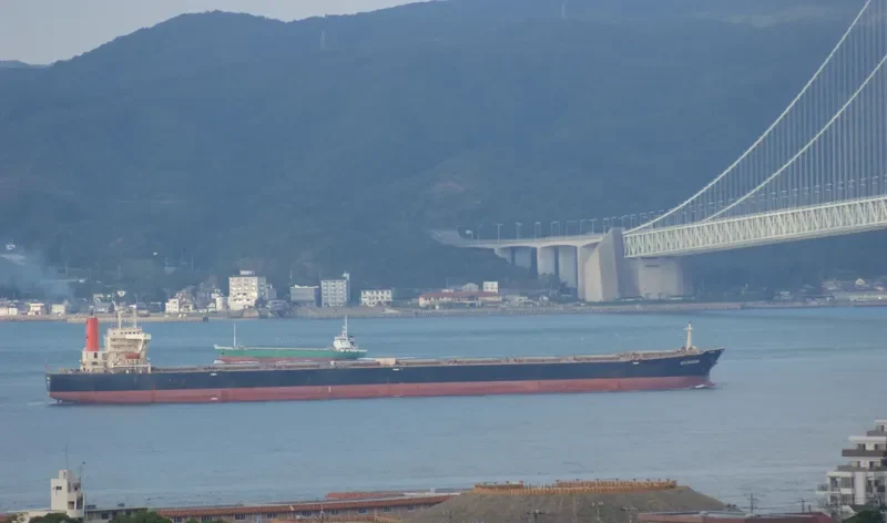 AWOBASAN Bulk Carrier IMO 9063469 photo 3