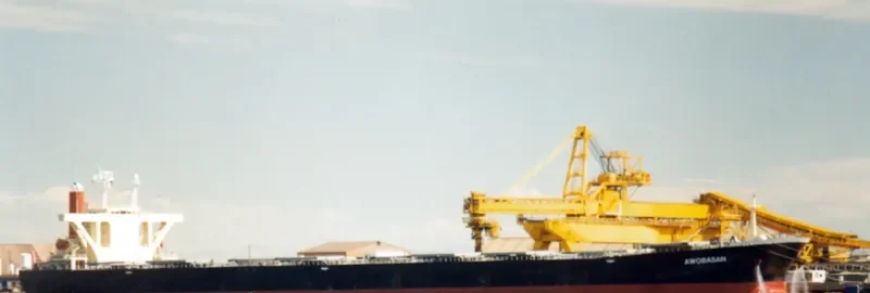 AWOBASAN Bulk Carrier IMO 9063469 photo 5