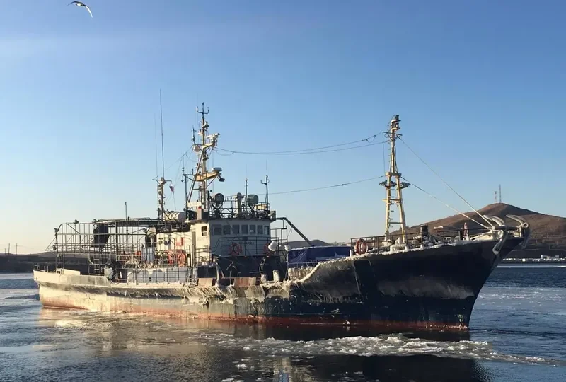 KS2 General Cargo IMO 9063586 photo 2