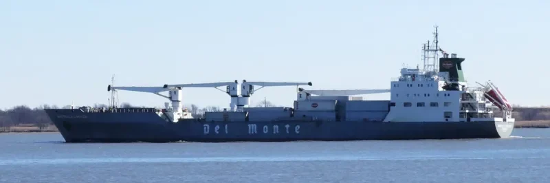 MARBELLA CARRIER General Cargo IMO 9063653