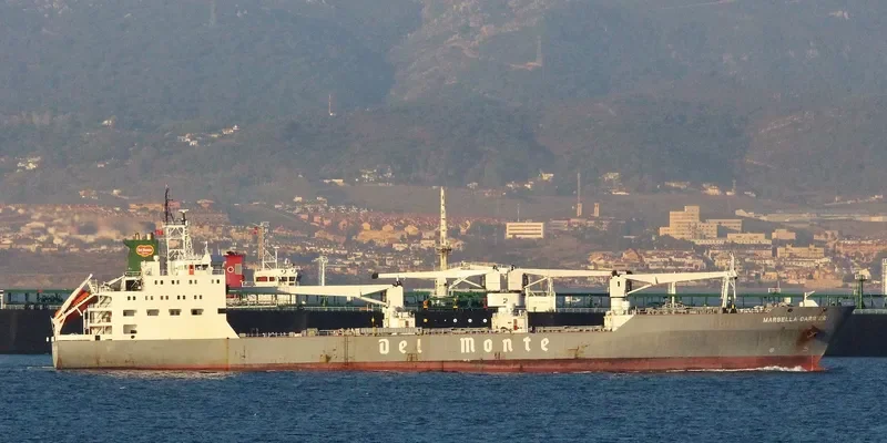 MARBELLA CARRIER General Cargo IMO 9063653 photo 2