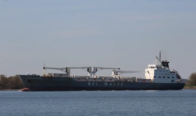 MARBELLA CARRIER General Cargo IMO 9063653 photo 3