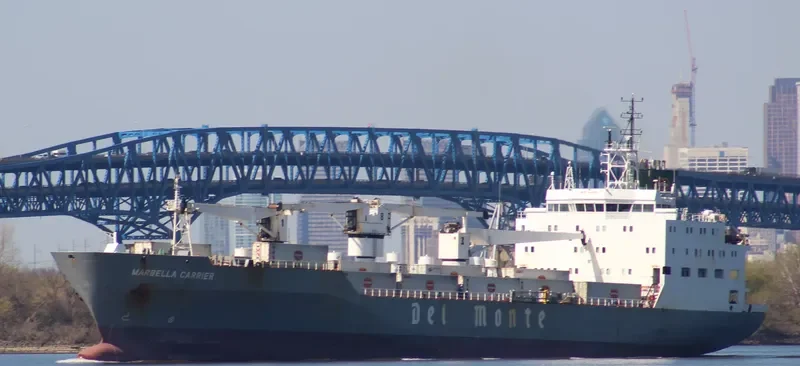 MARBELLA CARRIER General Cargo IMO 9063653 photo 4