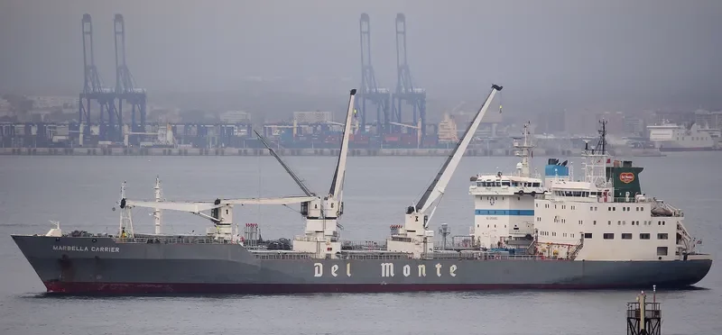 MARBELLA CARRIER General Cargo IMO 9063653 photo 5