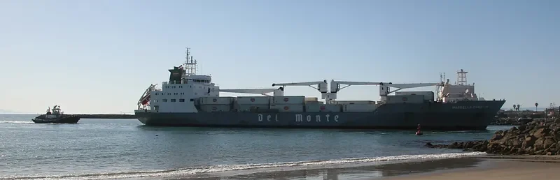 MARBELLA CARRIER General Cargo IMO 9063653 photo 6