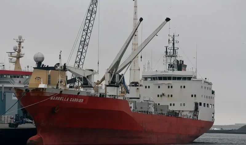 MARBELLA CARRIER General Cargo IMO 9063653 photo 8
