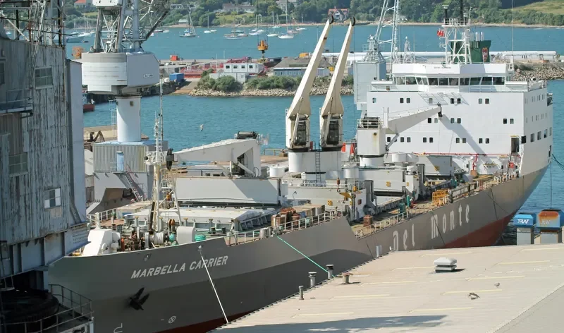 MARBELLA CARRIER General Cargo IMO 9063653 photo 9