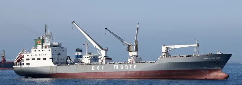 MURCIA CARRIER General Cargo IMO 9063665 photo 3
