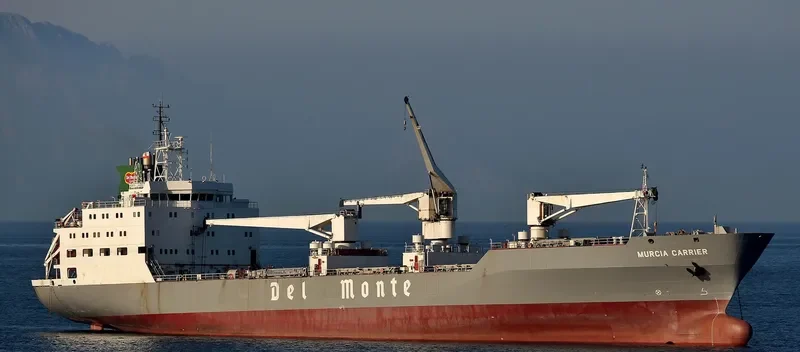 MURCIA CARRIER General Cargo IMO 9063665 photo 4