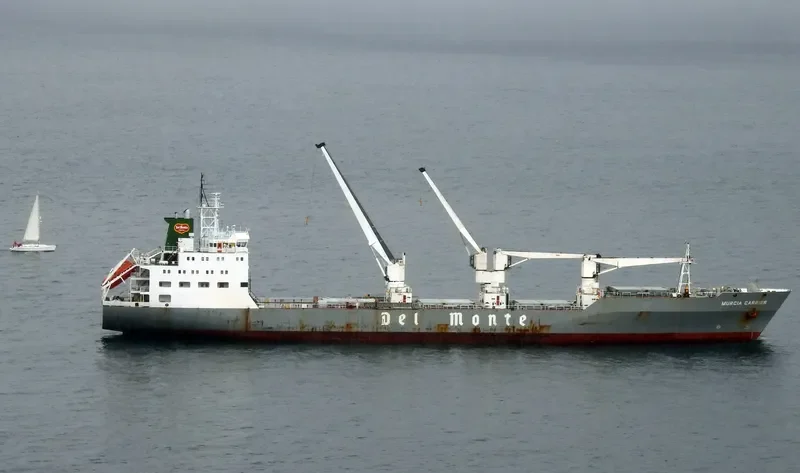 MURCIA CARRIER General Cargo IMO 9063665 photo 6