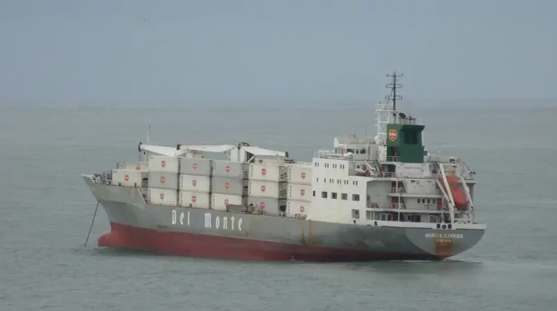 MURCIA CARRIER General Cargo IMO 9063665 photo 7