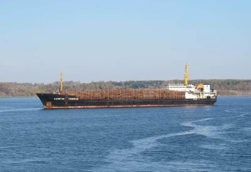 KAPITAN SOSENKOV General Cargo IMO 9063732 photo 5