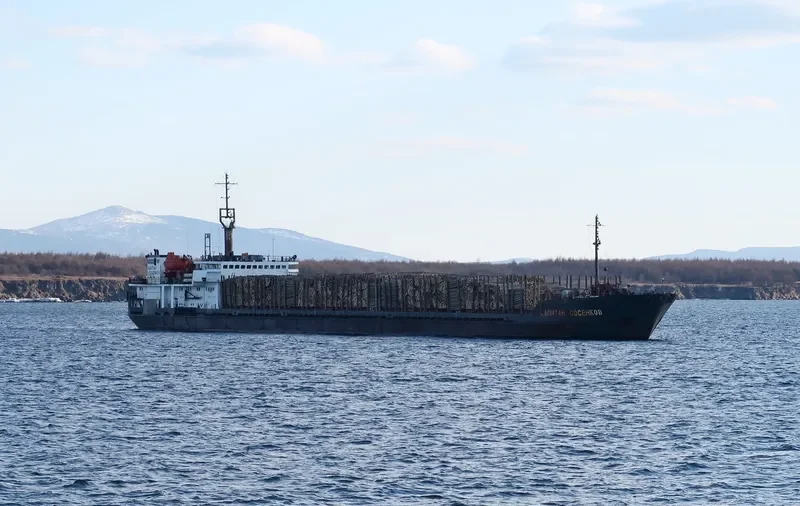KAPITAN SOSENKOV General Cargo IMO 9063732 photo 7