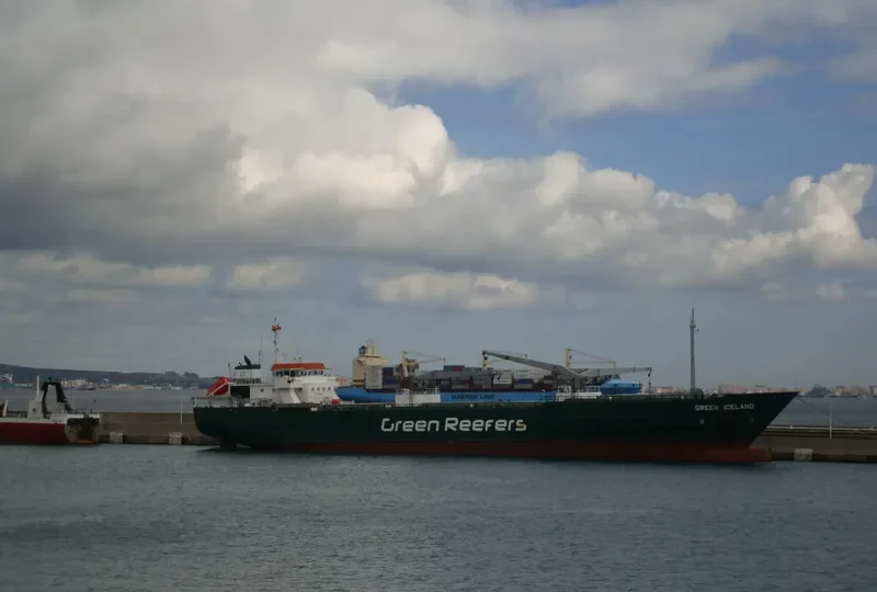GREEN ICELAND General Cargo IMO 9063902