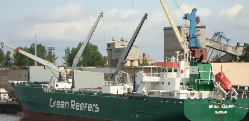 GREEN ICELAND General Cargo IMO 9063902 photo 4