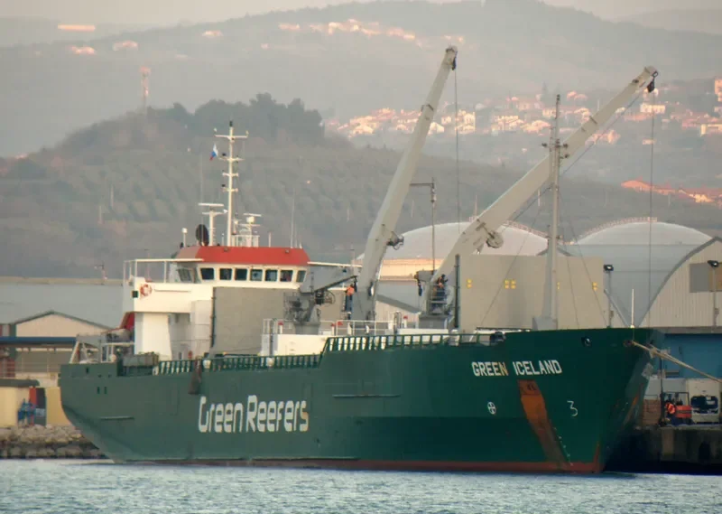 GREEN ICELAND General Cargo IMO 9063902 photo 7