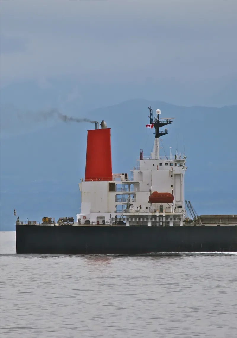 RUBIN Bulk Carrier IMO 9064114 photo 3