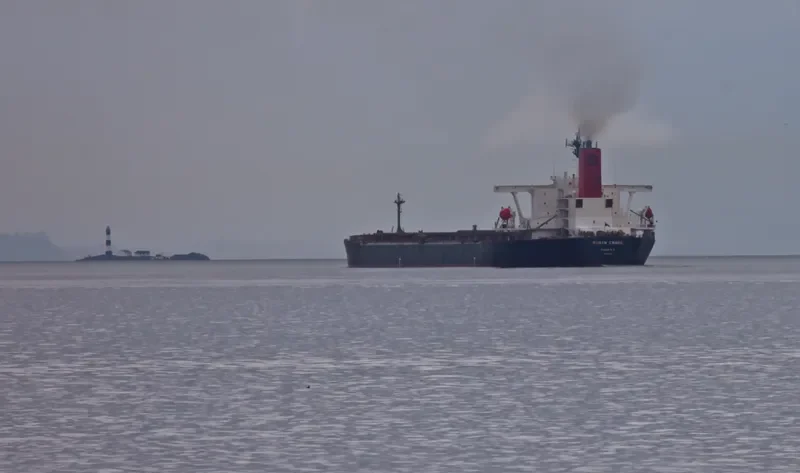 RUBIN Bulk Carrier IMO 9064114 photo 5