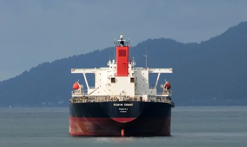 RUBIN Bulk Carrier IMO 9064114 photo 7