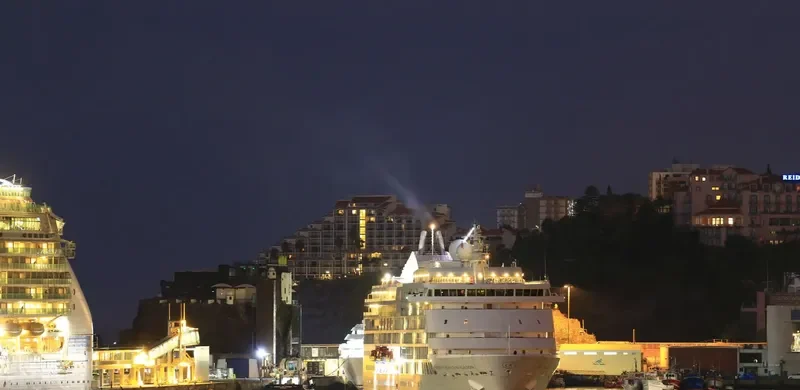 SEVEN SEAS NAVIGATOR Passenger Ship IMO 9064126 photo 3
