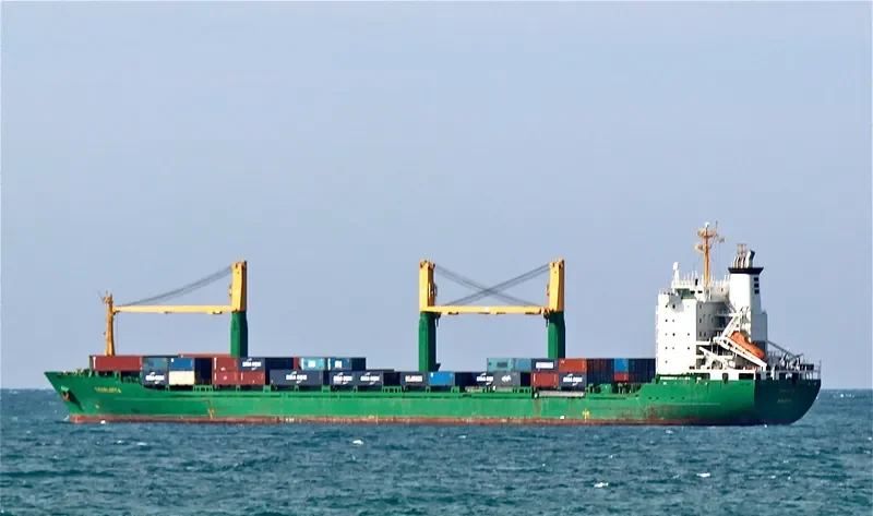 CHARLOTTA Container Ship IMO 9064190 photo 2
