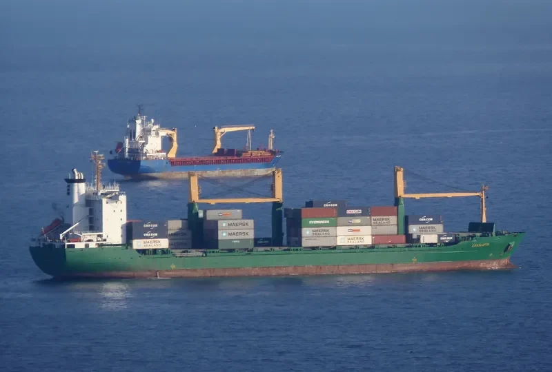 CHARLOTTA Container Ship IMO 9064190 photo 3