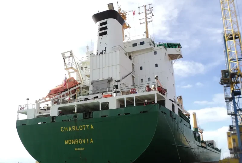 CHARLOTTA Container Ship IMO 9064190 photo 4