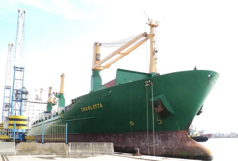 CHARLOTTA Container Ship IMO 9064190 photo 5