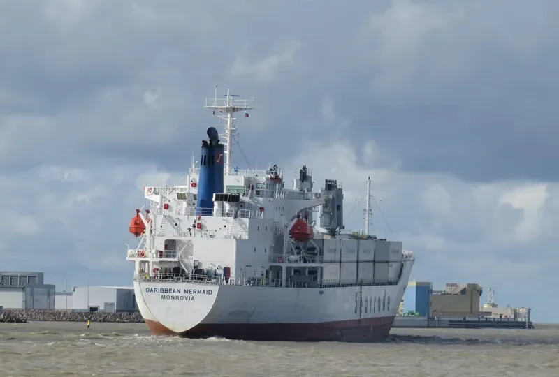 WEI NING General Cargo IMO 9064229 photo 7