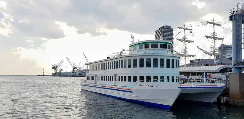 ROYAL PRINCESS Passenger Ship IMO 9064243 photo 10