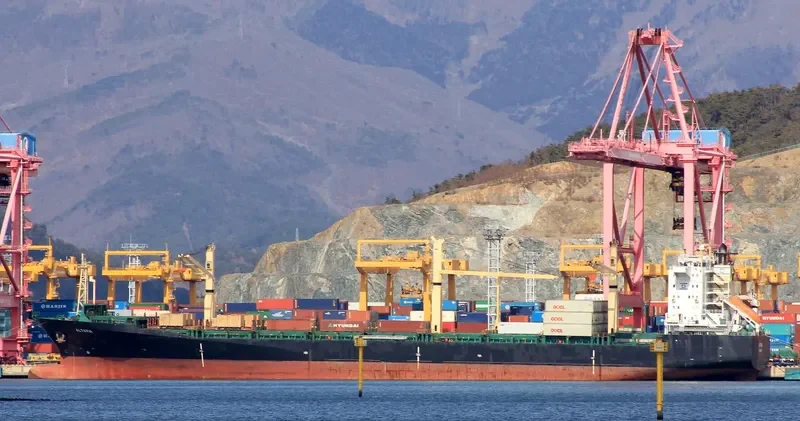 ALTAVIA Container Ship IMO 9064322