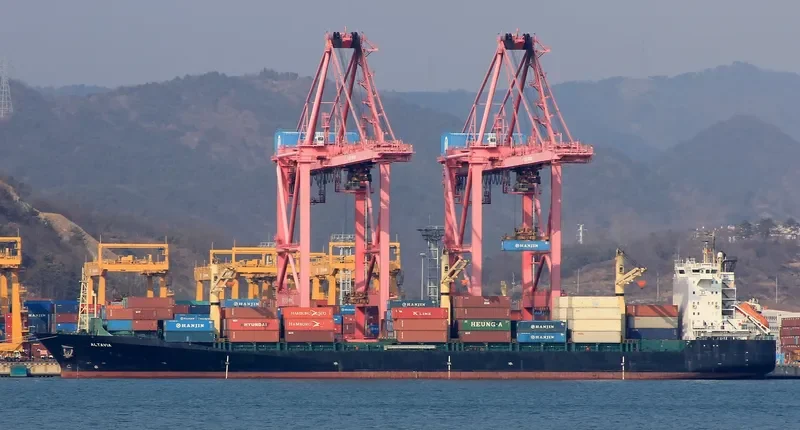 ALTAVIA Container Ship IMO 9064322 photo 2