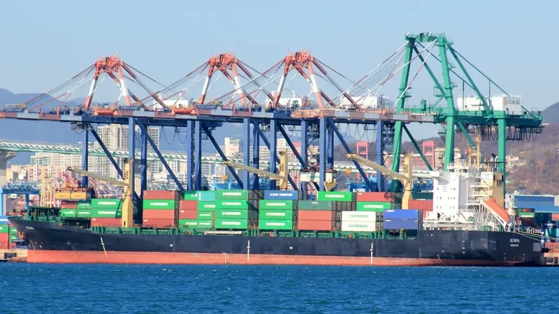 ALTAVIA Container Ship IMO 9064322 photo 8