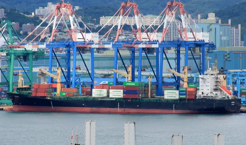 ALTAVIA Container Ship IMO 9064322 photo 9
